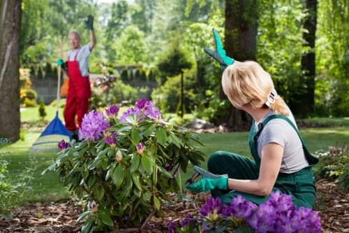 Garden maintenance in Cranford with neatly trimmed lawn and flower borders