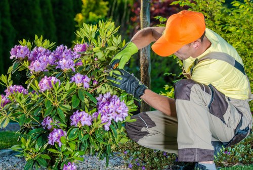 Healthy suburban lawn care in Cranford during spring
