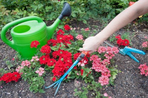 Garden clearance pricing overview in Cranford