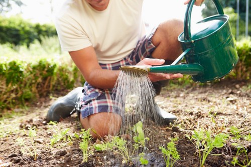 Professional lawn treatment for a greener Cranford yard