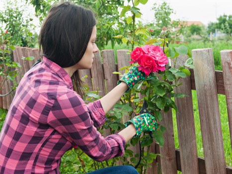 Local planting service installing shrubs and flowers in Cranford