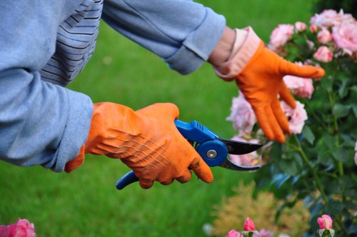 Public liability insurance and safe rubbish removal for landscaping work