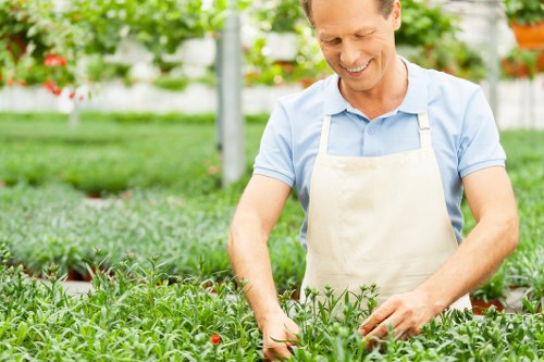 Choosing the right shed style for a Cranford property