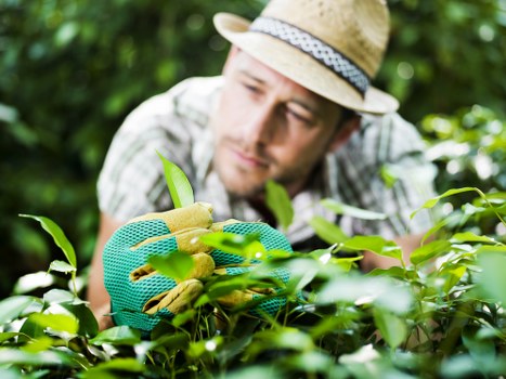 Landscaper securing rubbish for safe transport and removal