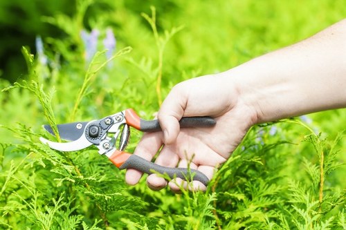 Final resolution step in a landscaping complaints process
