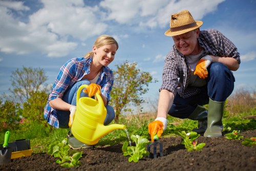 Back garden layout planned by landscape gardeners in Cranford