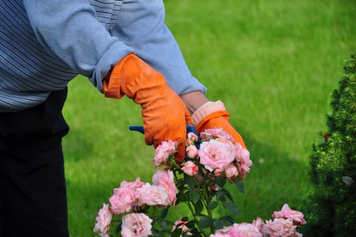 Site issue review for a landscaping service