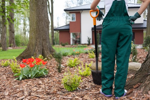Seasonal fall lawn care and aeration in Cranford