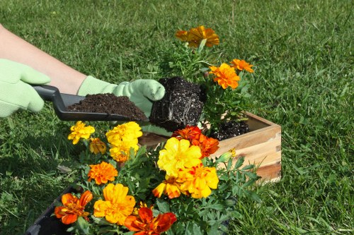 Professional review of landscaping work after a complaint