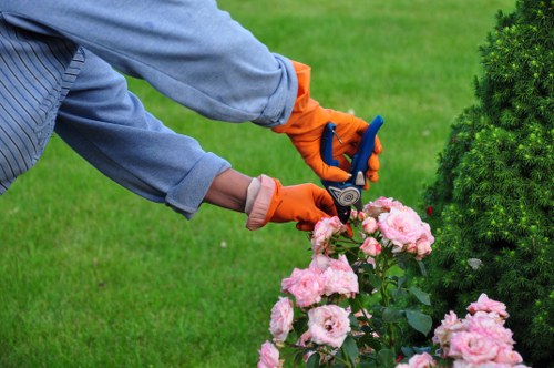 Soft landscaping and seasonal planting in a Cranford garden